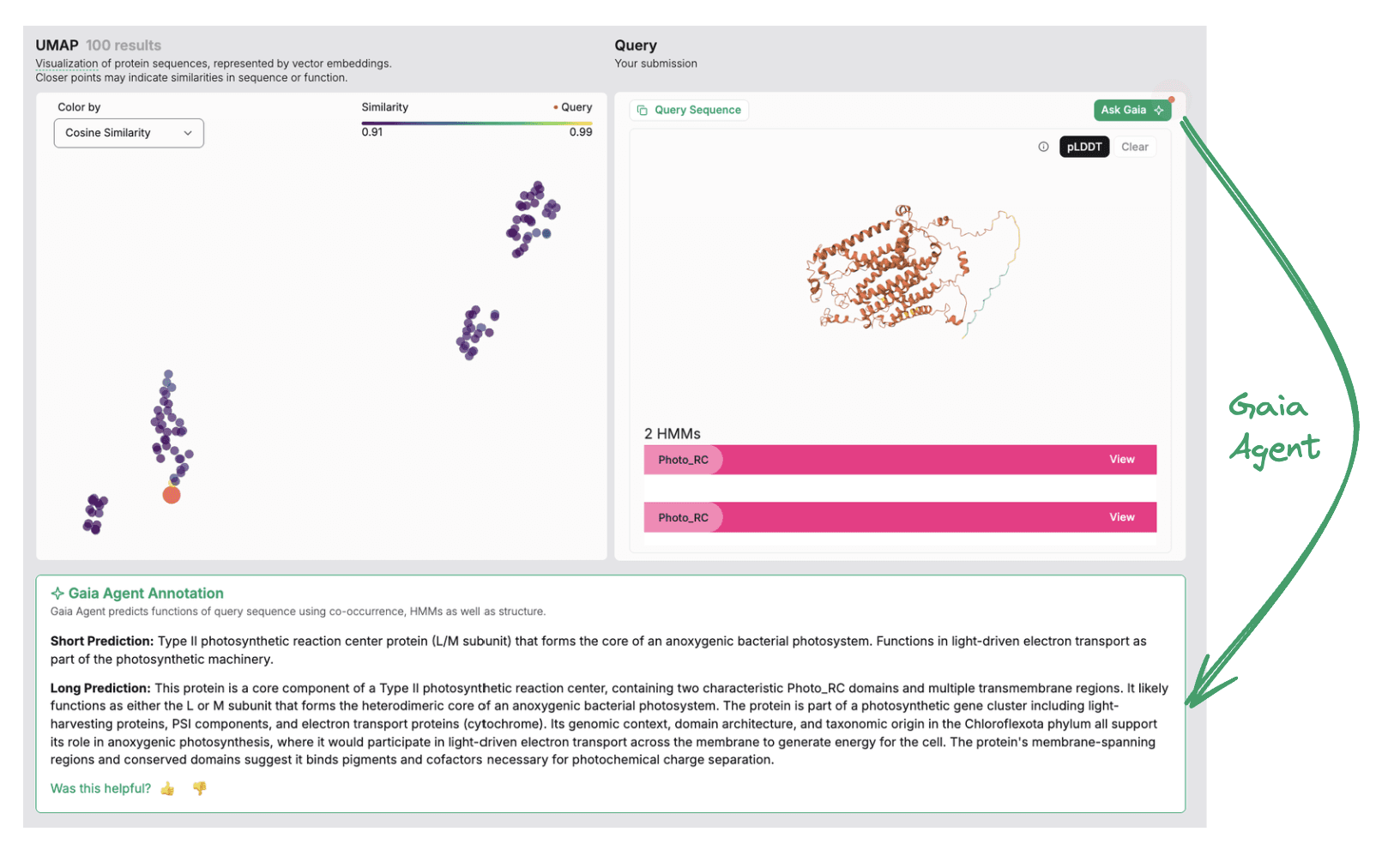 Gaia Agent providing contextual explanations to help researchers interpret complex genomic data